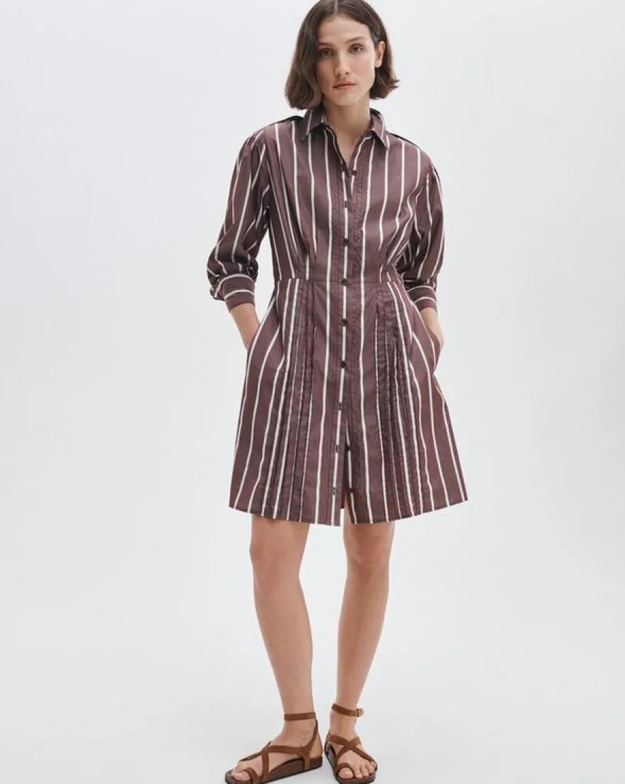 Taylor Striped Mini Dress